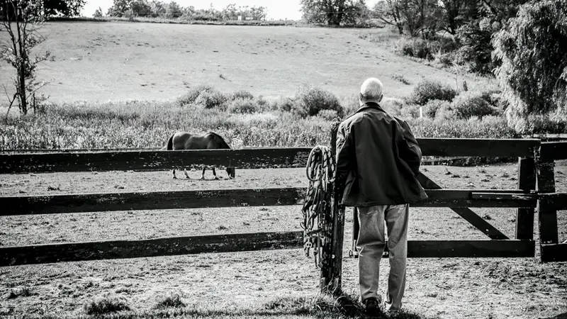 Most Kentucky Derby Wins by a Trainer and a Jockey