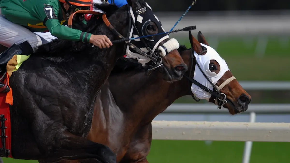 Why a Win and You're In Victory Doesn't Mean What Bettors Think It Means
