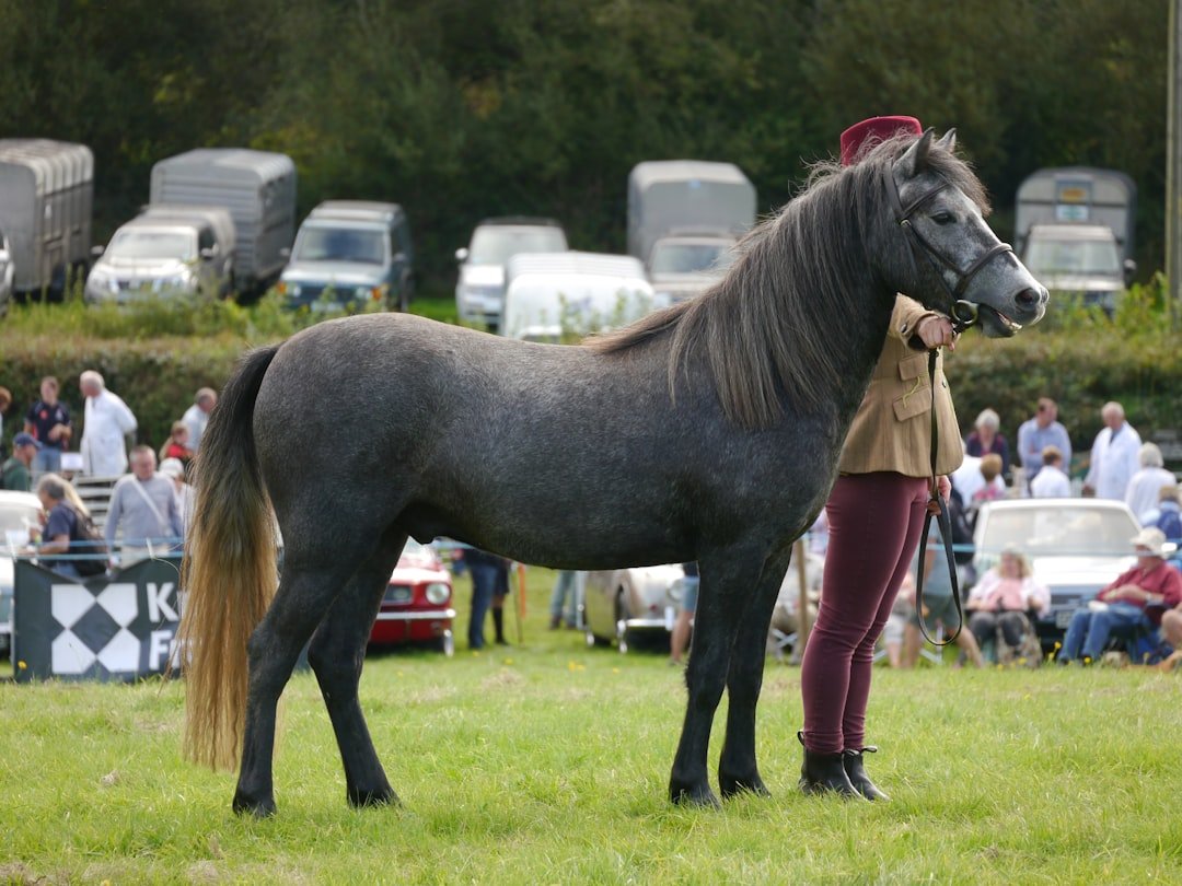 Auctioneer at prestigious thoroughbred yearling sale with well-bred yearling in the ring